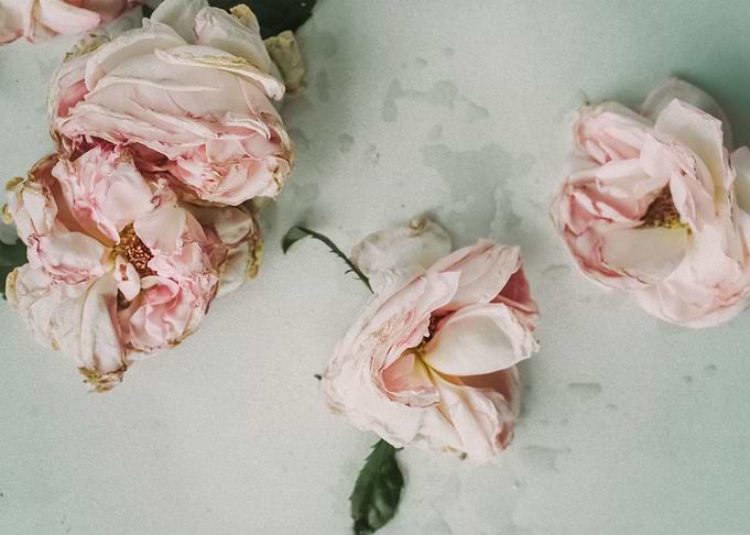 Flowers 21