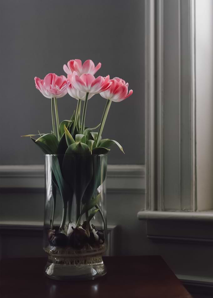 Flowers 92