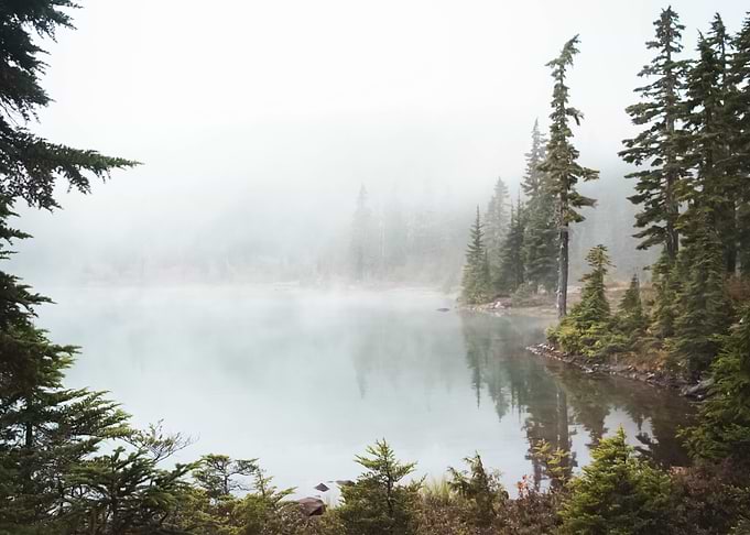 Water Landscape 341