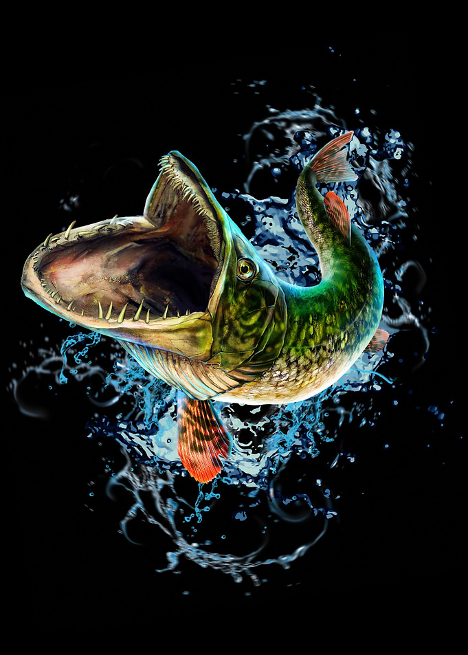 Ravenous northern pike