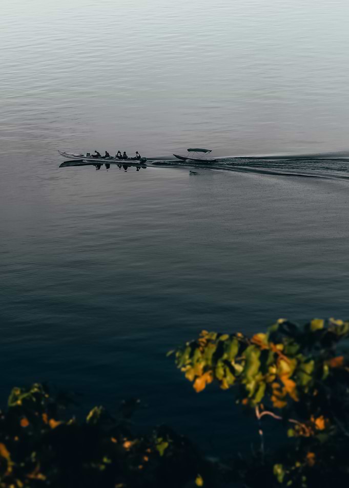 Water Landscape 269