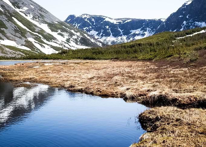 Water Landscape 168