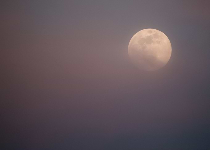 Moon 49