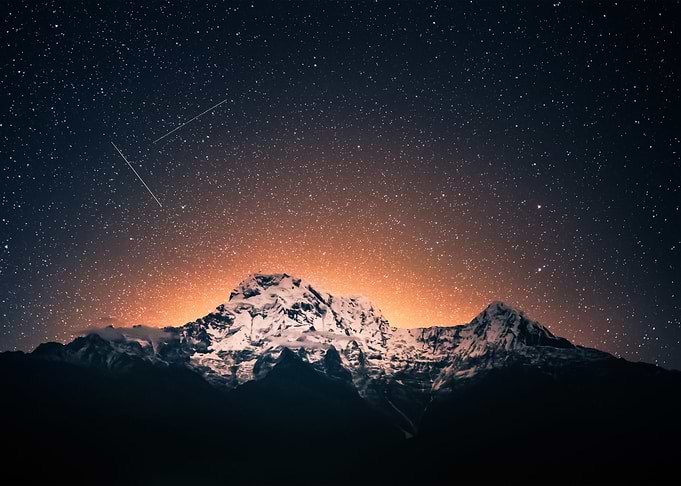 Stars 205