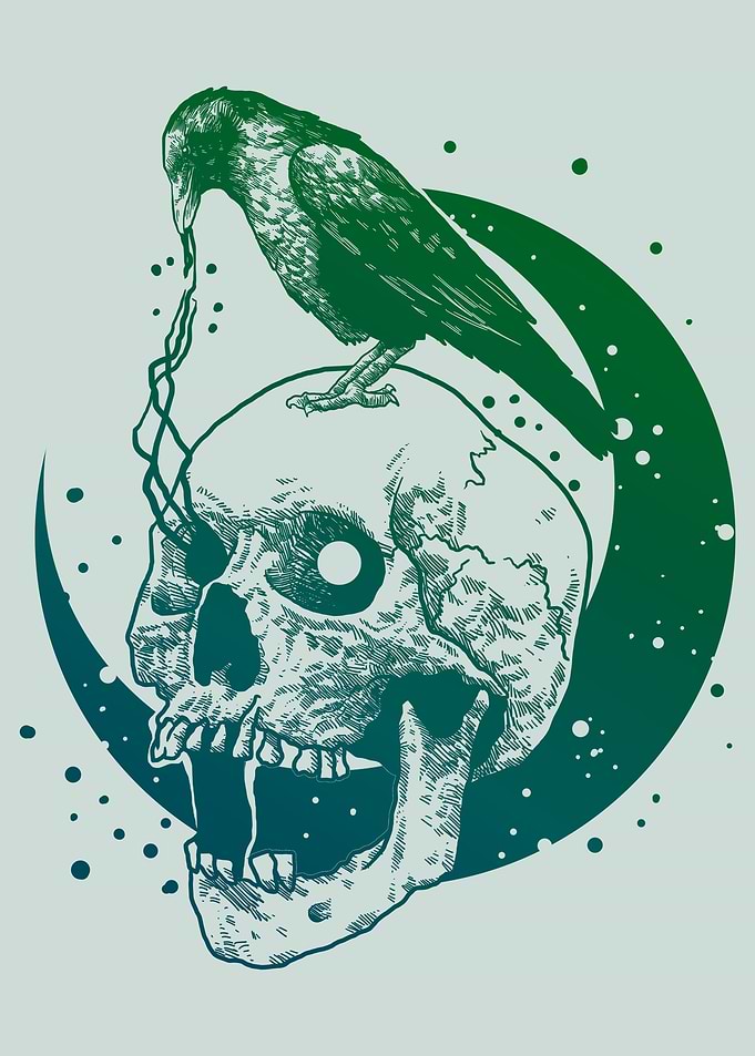 raven