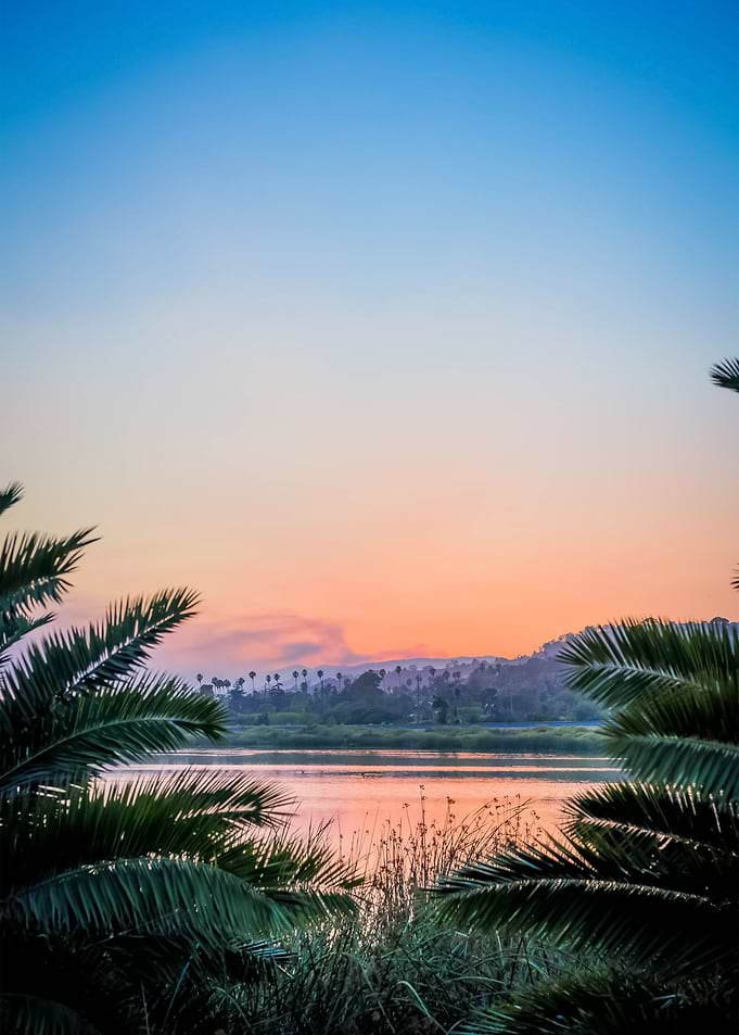 Water Landscape 153