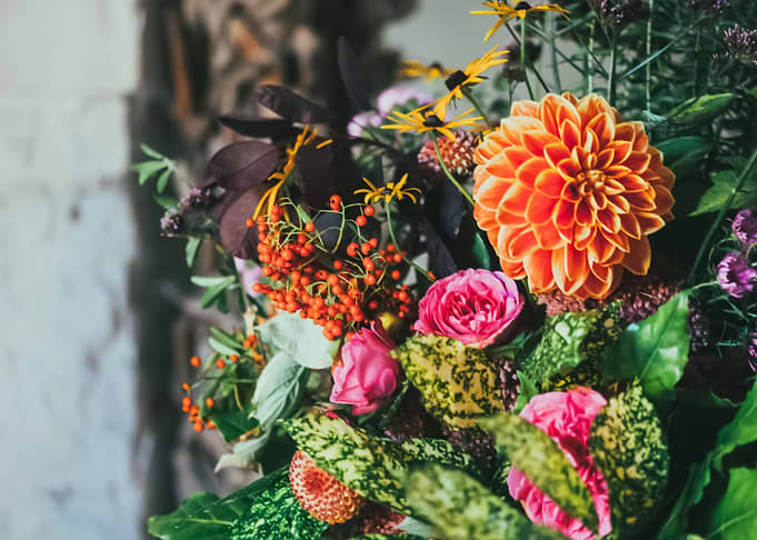 Flowers 104