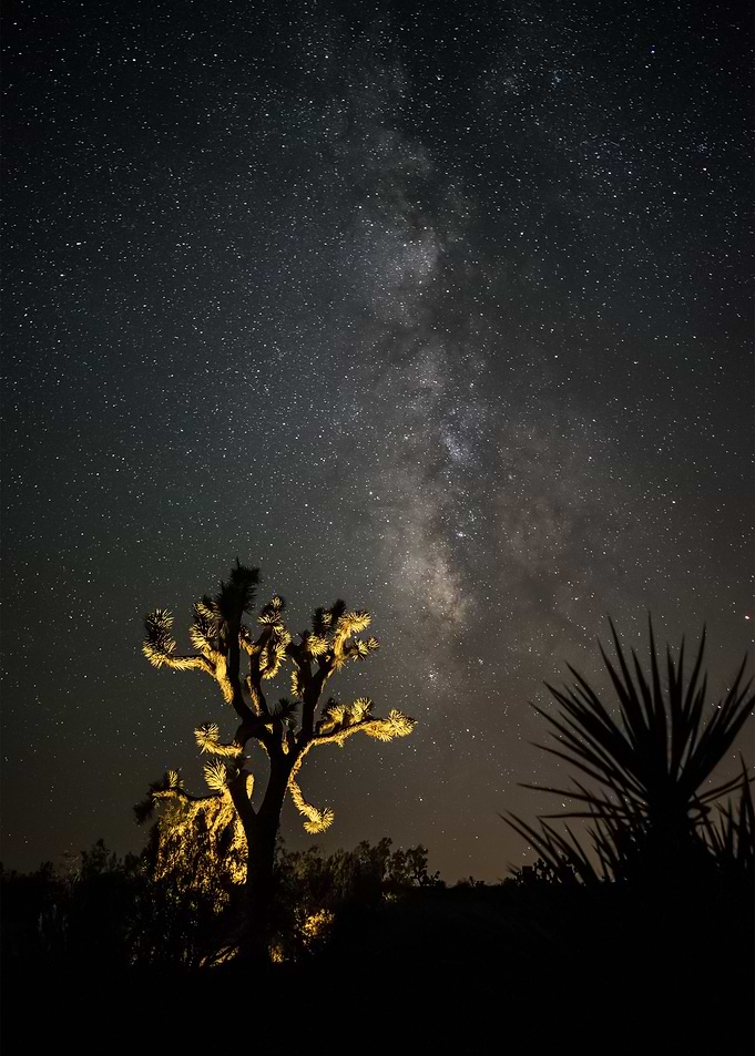 Stars 200