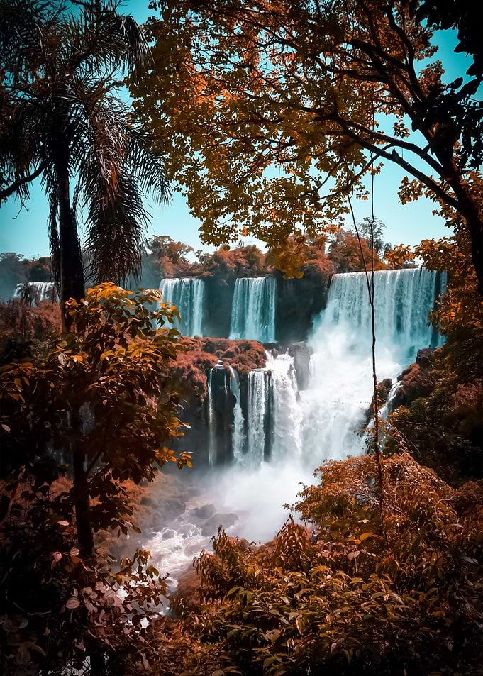Water Landscape 313