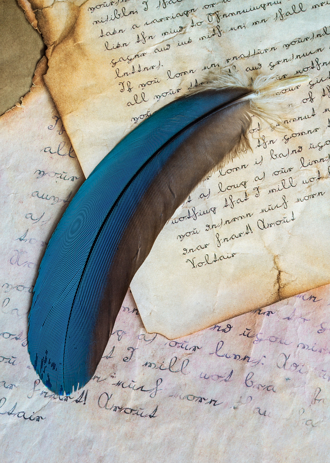 Blue feather