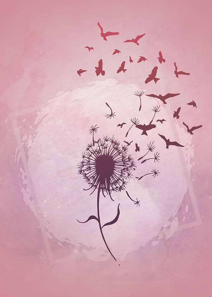 Dandelion flock