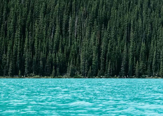 Water Landscape 304
