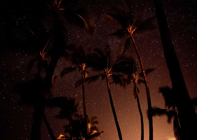 Stars 59