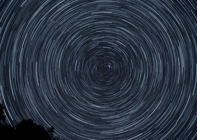 Stars 231