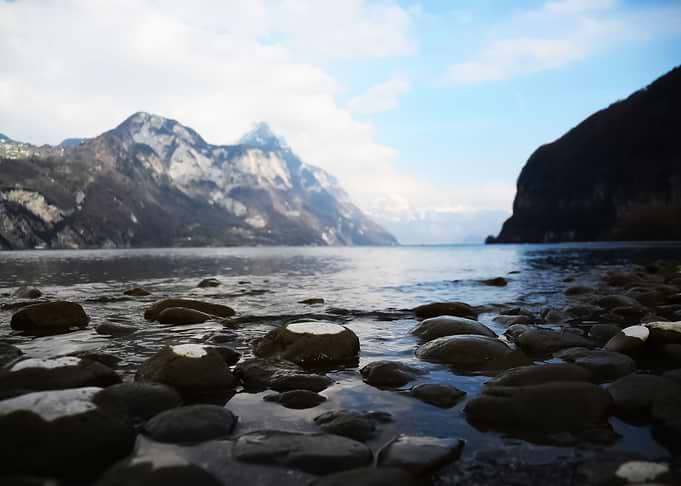 Water Landscape 260