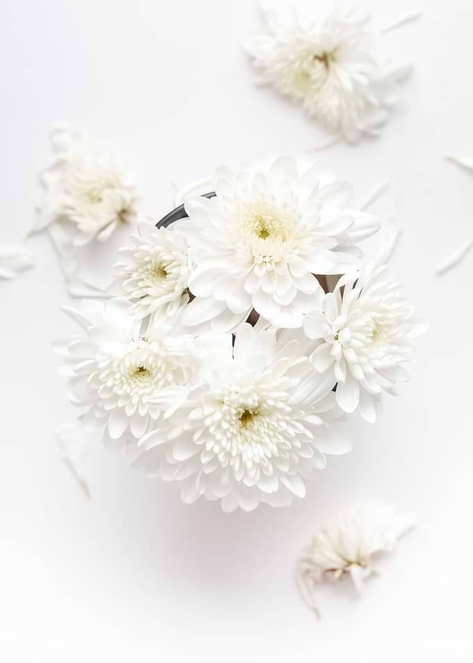 Flowers 33