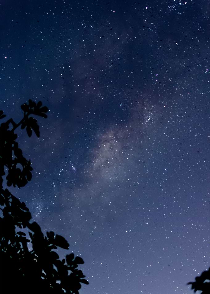 Stars 142