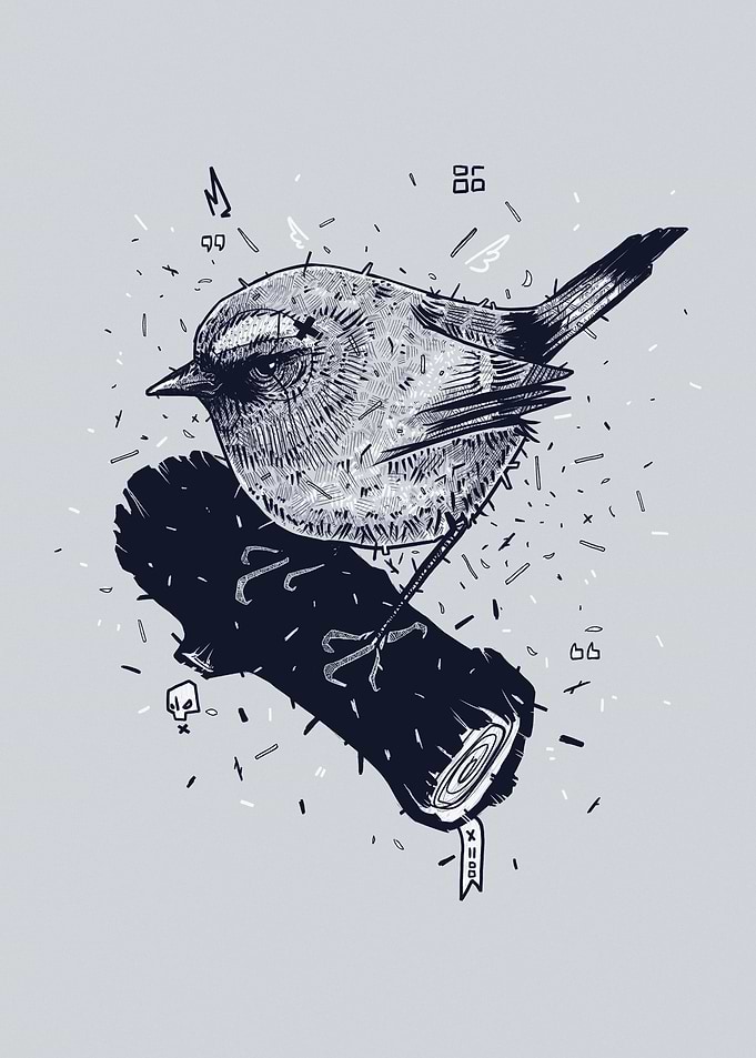 Little B Bird