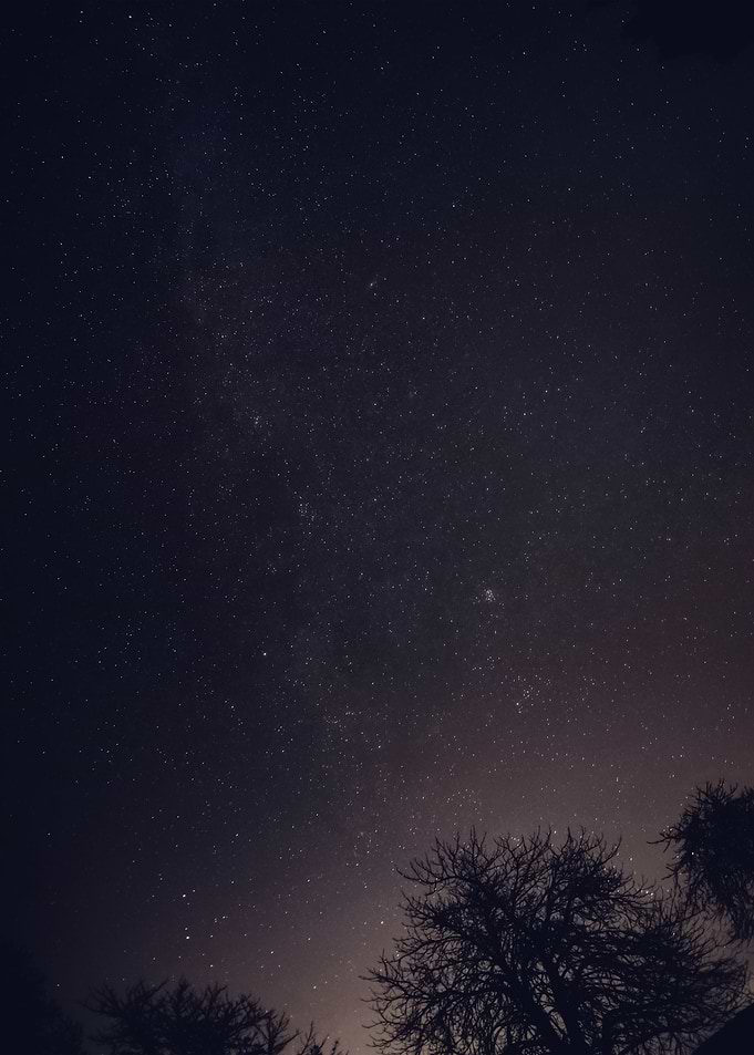 Stars 241