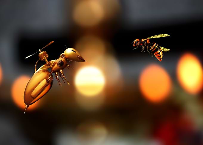 Bees fun