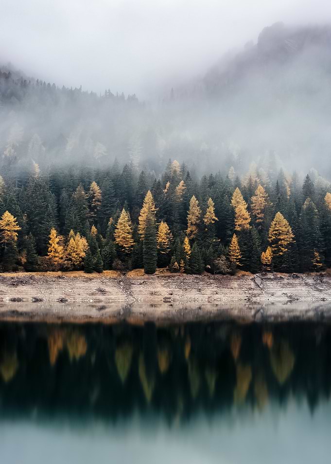 Water Landscape 198