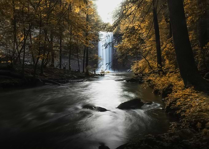 Water Landscape 448