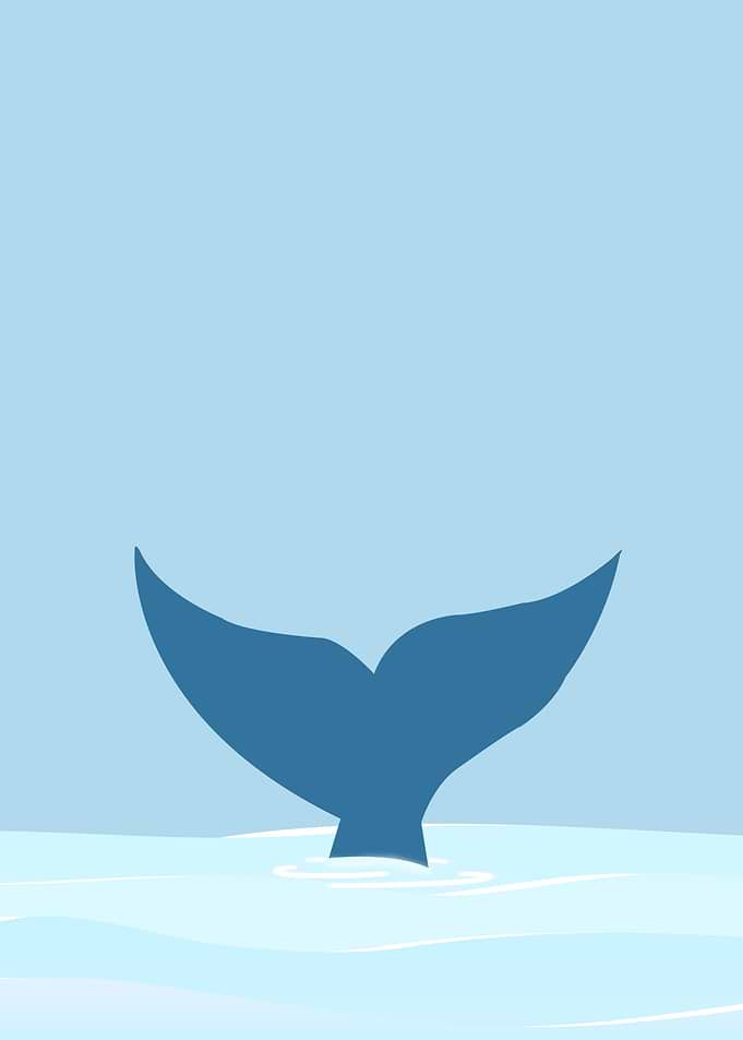 Whale Jumping VI