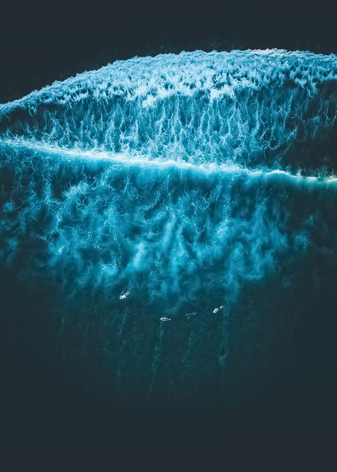 Water 113