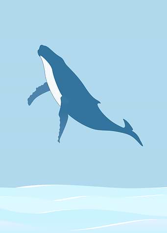 Whale Jumping