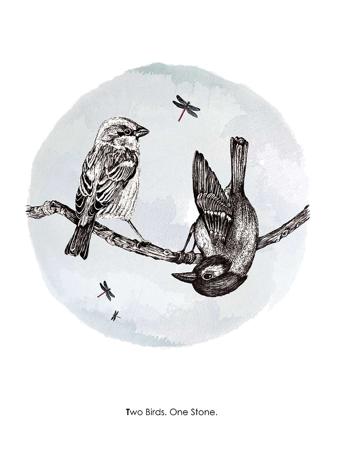 Two birds One stone