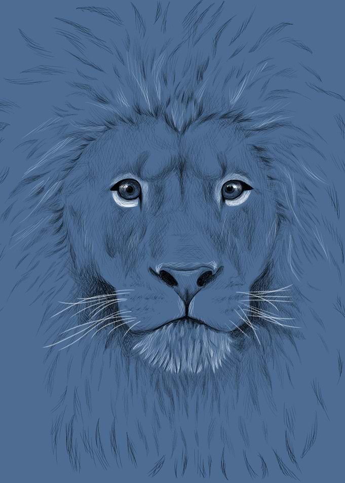 Lion Lineart
