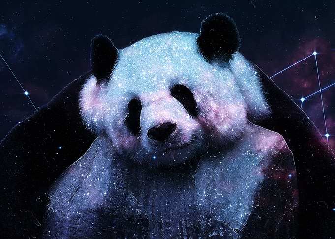 Sleepy Panda Hugs Galaxy