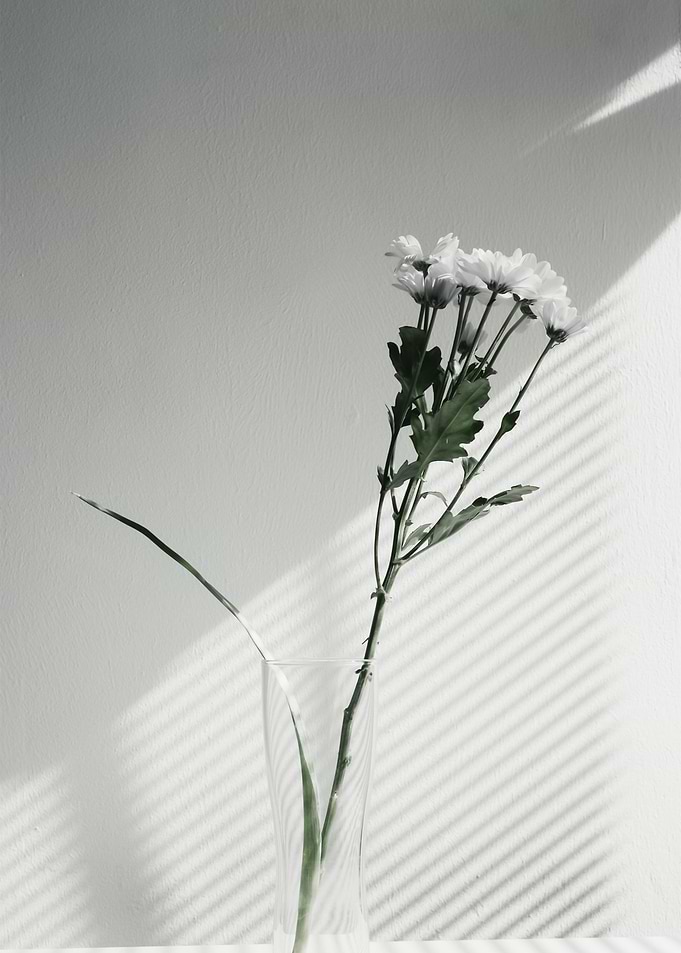 Plants 72
