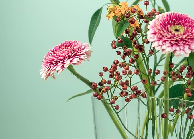 Flowers 138