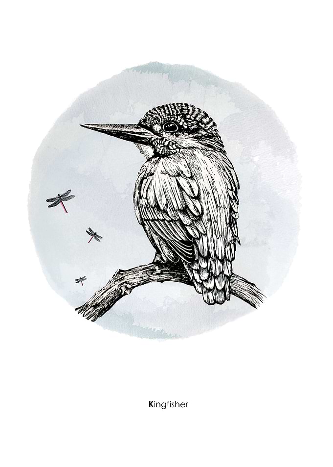 Kingfisher