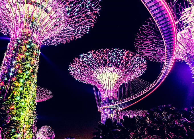 light tree