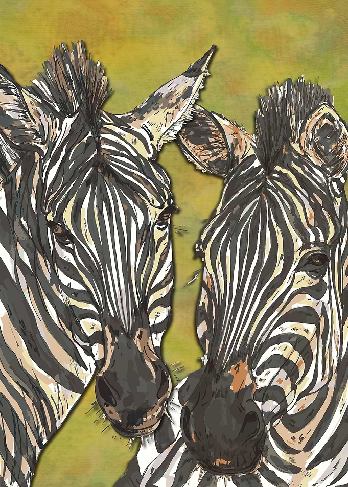 Zebras