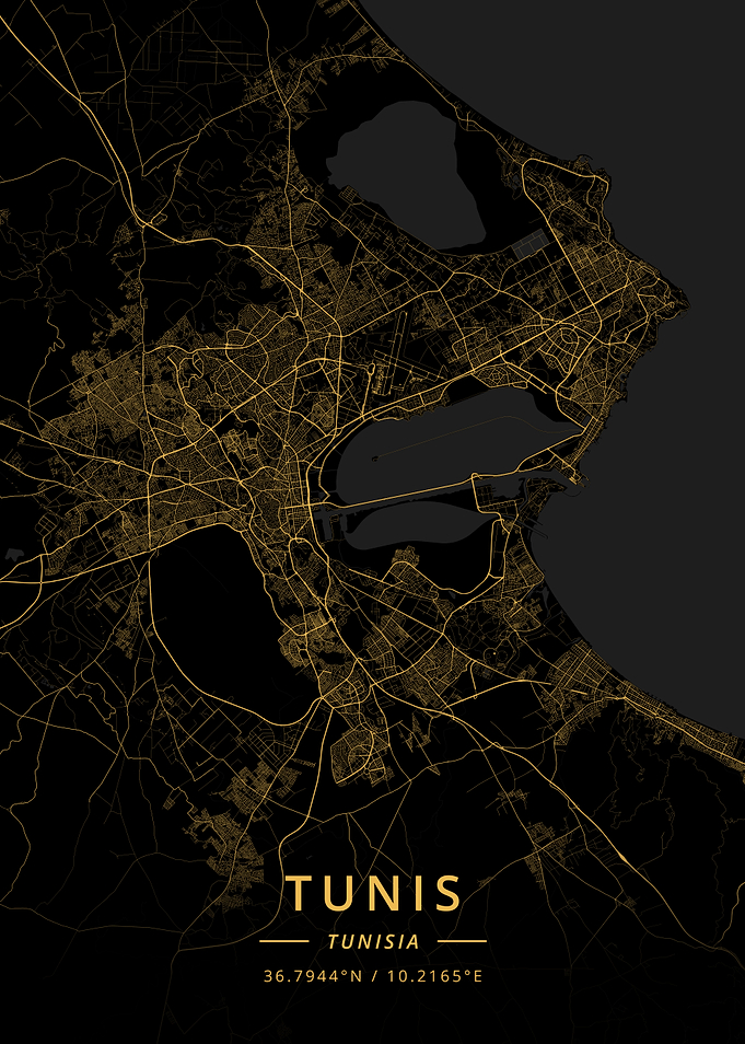 Tunis Tunisia