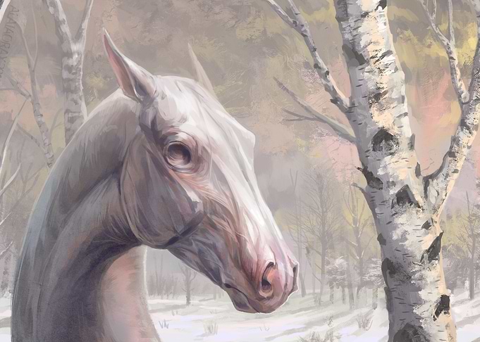 Blind horse