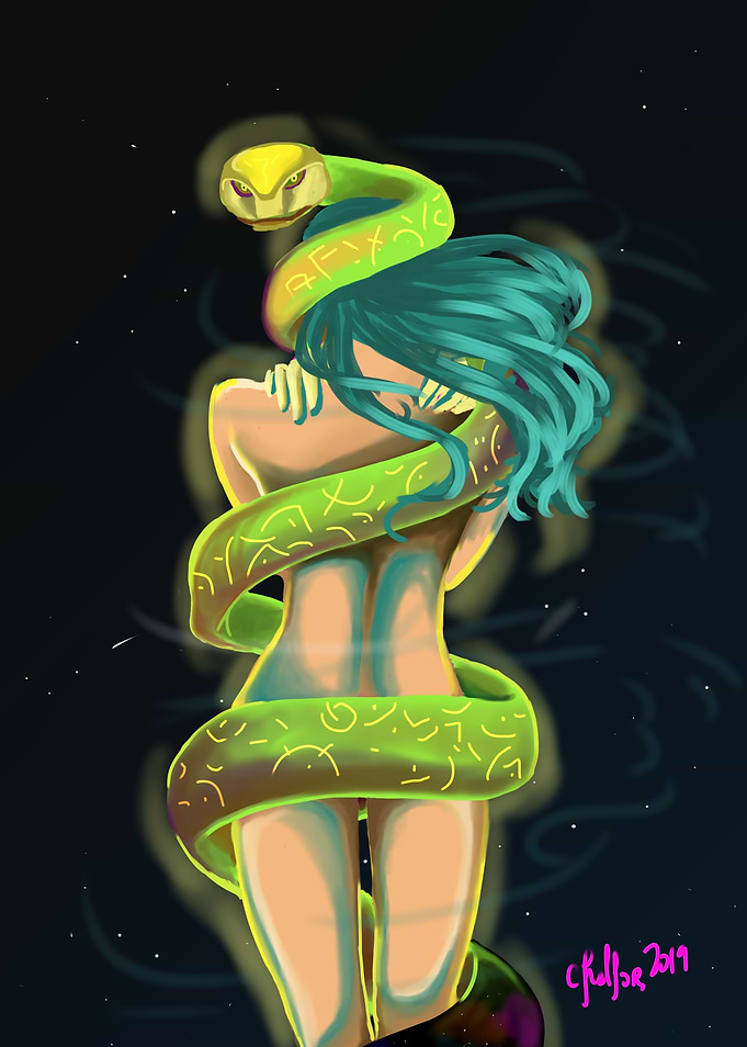 Universe Shadow