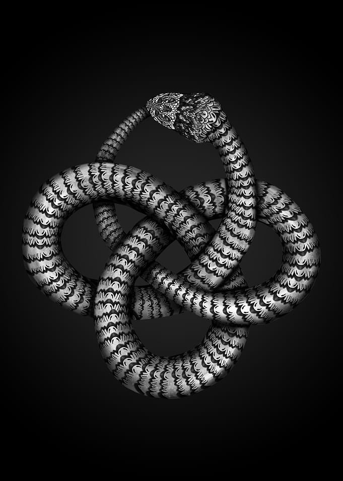 Ouroboros Celtic Knot