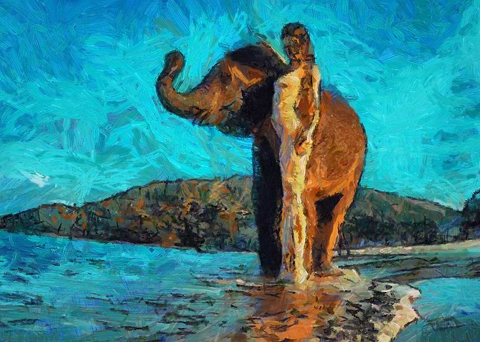 Girl With Elephant