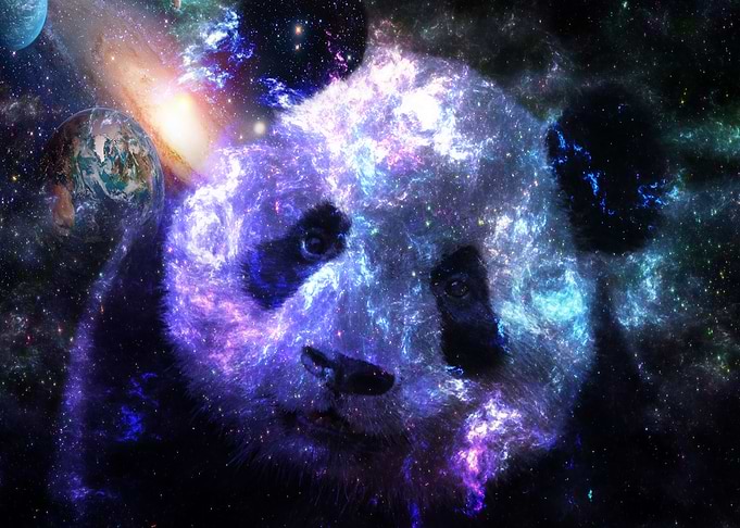 Galaxy Baby Panda Planet