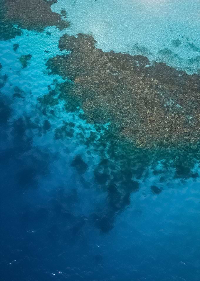 Water 261