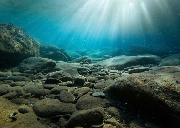 Water 237