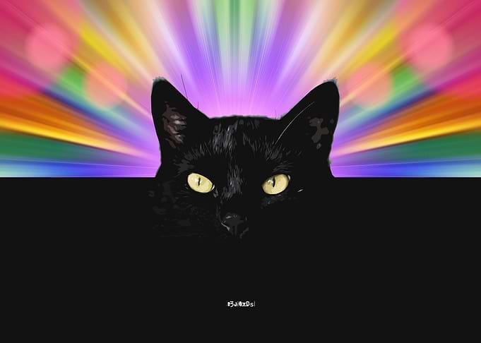 Big Black Cat