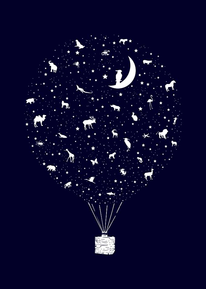All animals are stars
