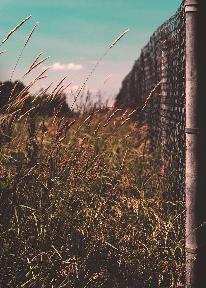 Barrier