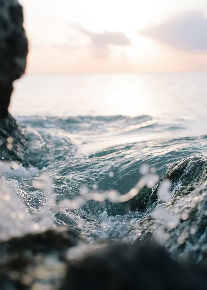 Water 282