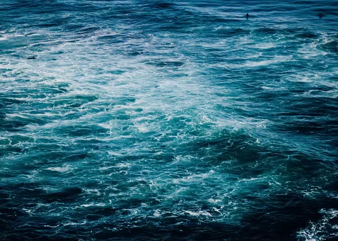 Water 219
